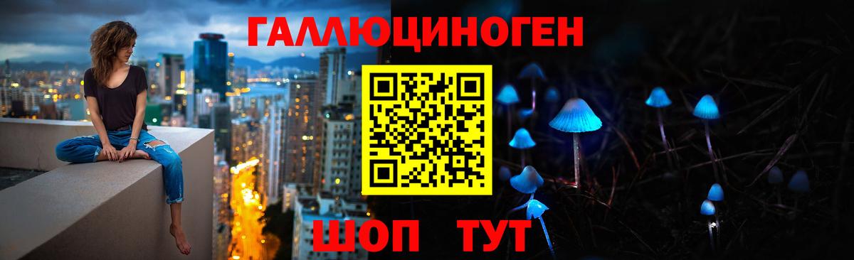 Тимашёвск  Галлюциногенные грибы ЛСД  Вход с VPN 
